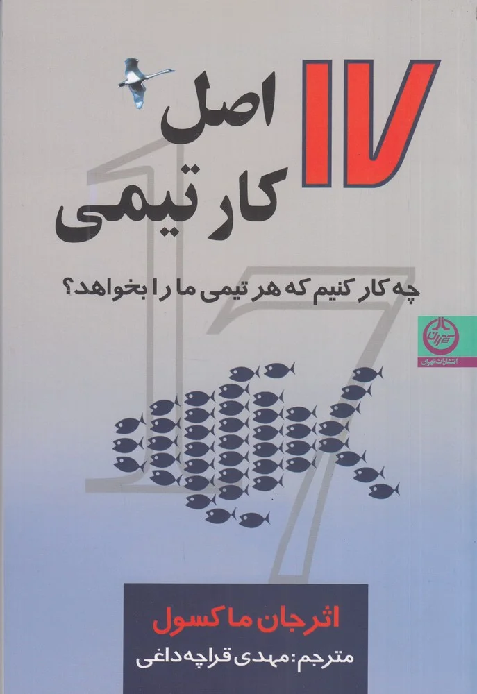 جلد 17 اصل کار تیمی