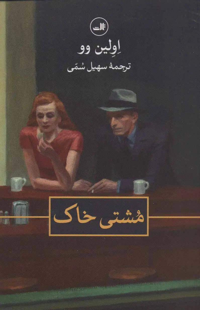 جلد مشتی غبار