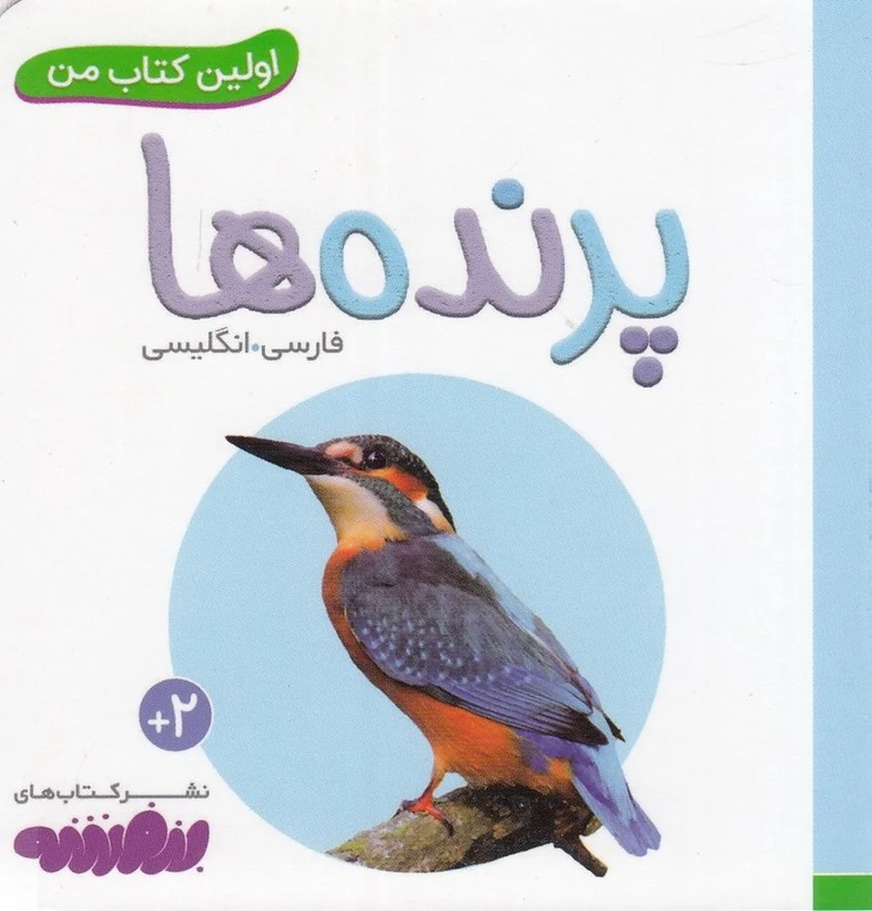 جلد کتاب بورد بوک اولین کتاب من: پرنده ها
