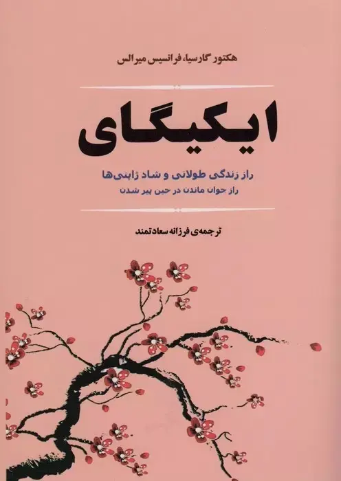 جلد ایکی گایی