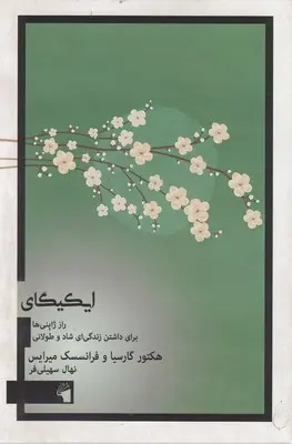 جلد ایکی گایی