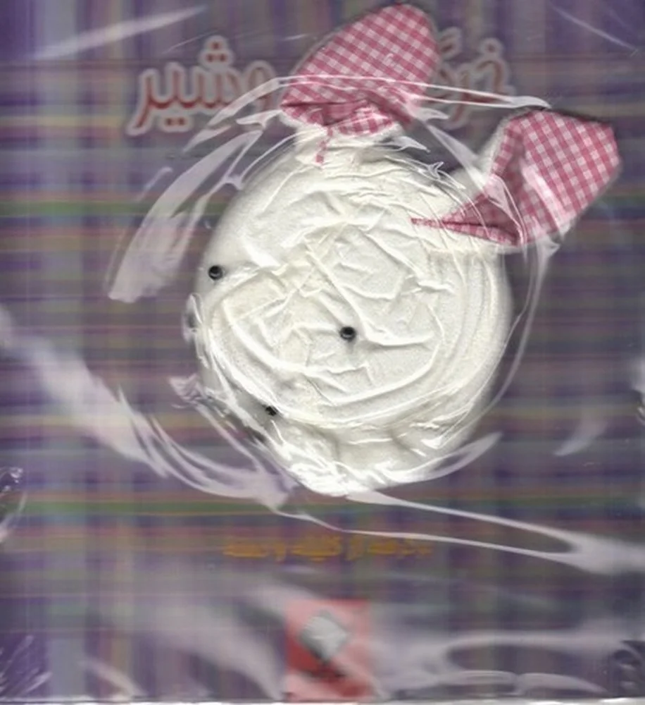 جلد کتاب عروسکی خرگوش و شیر