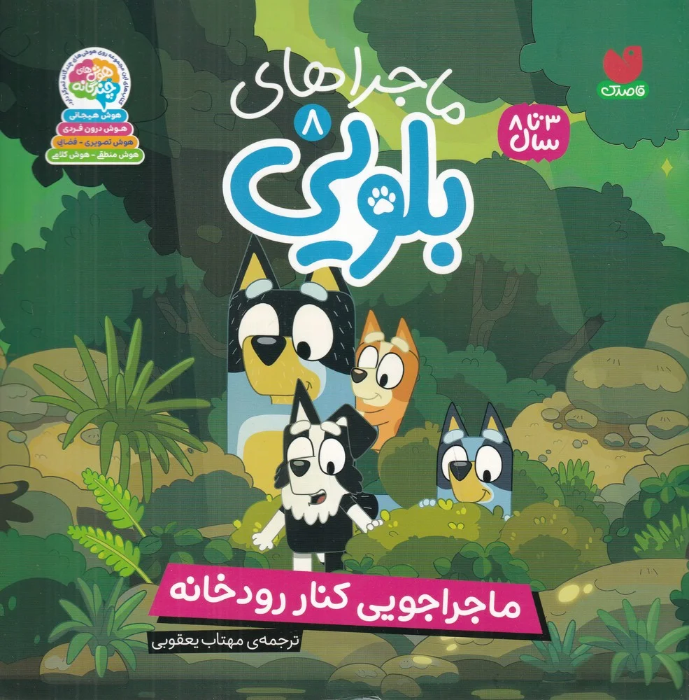 جلد کتاب ماجراهای بلویی 8: ماجراجویی کنار رودخانه