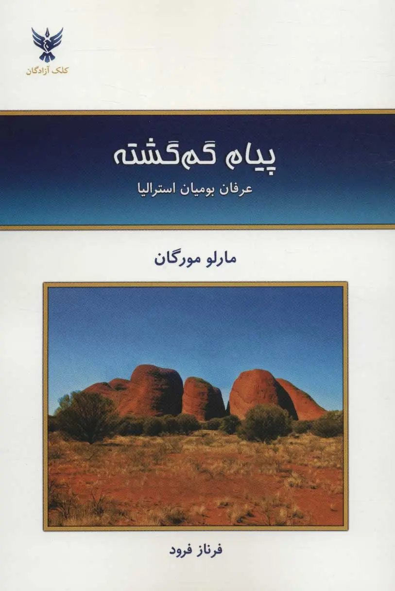 جلد کتاب پیام گم گشته
