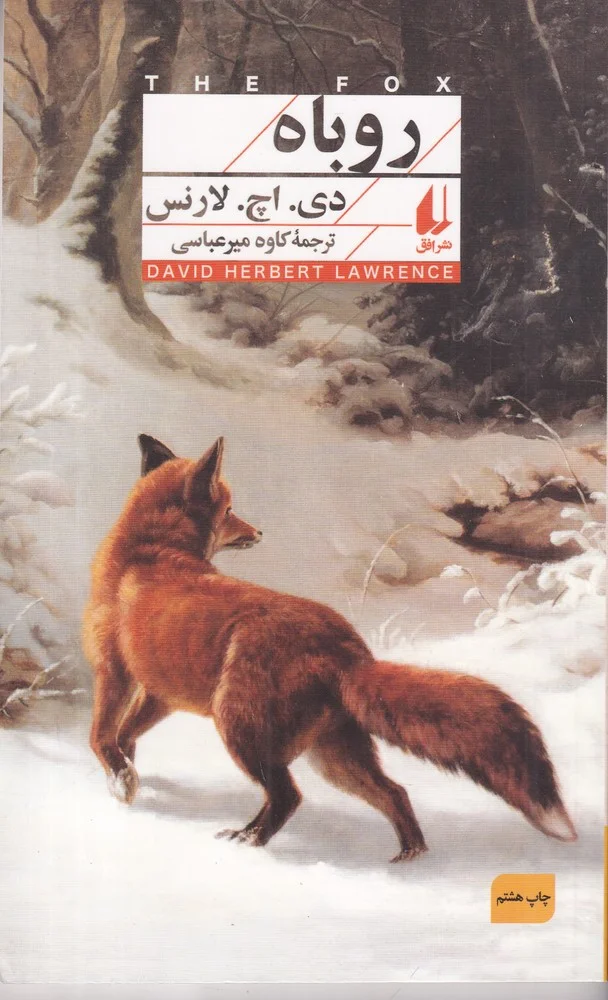 جلد روباه