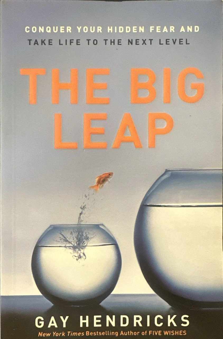 جلد کتاب The Big Leap