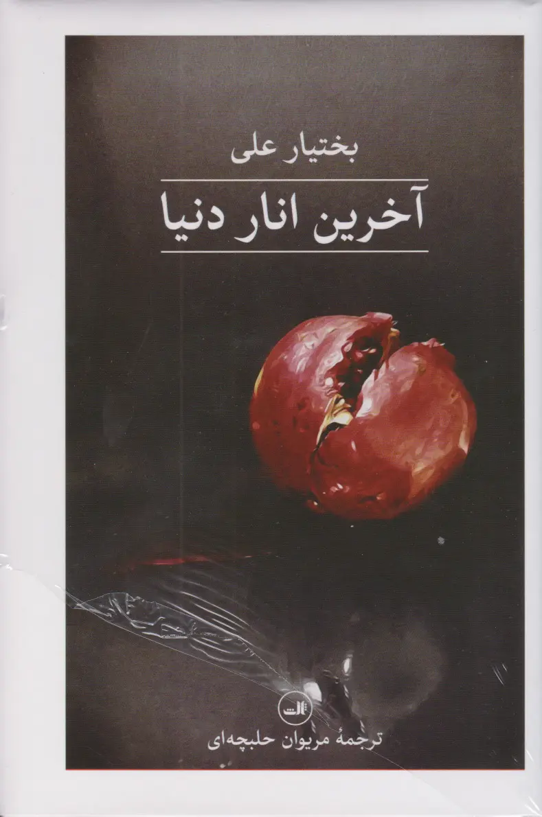 جلد کتاب آخرین انار دنیا