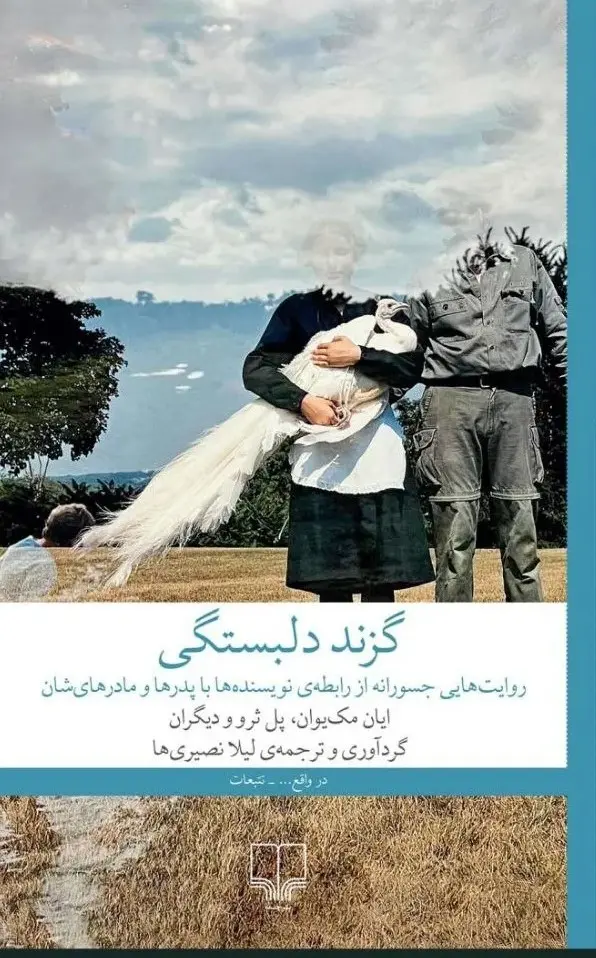 جلد کتاب گزند دلبستگی