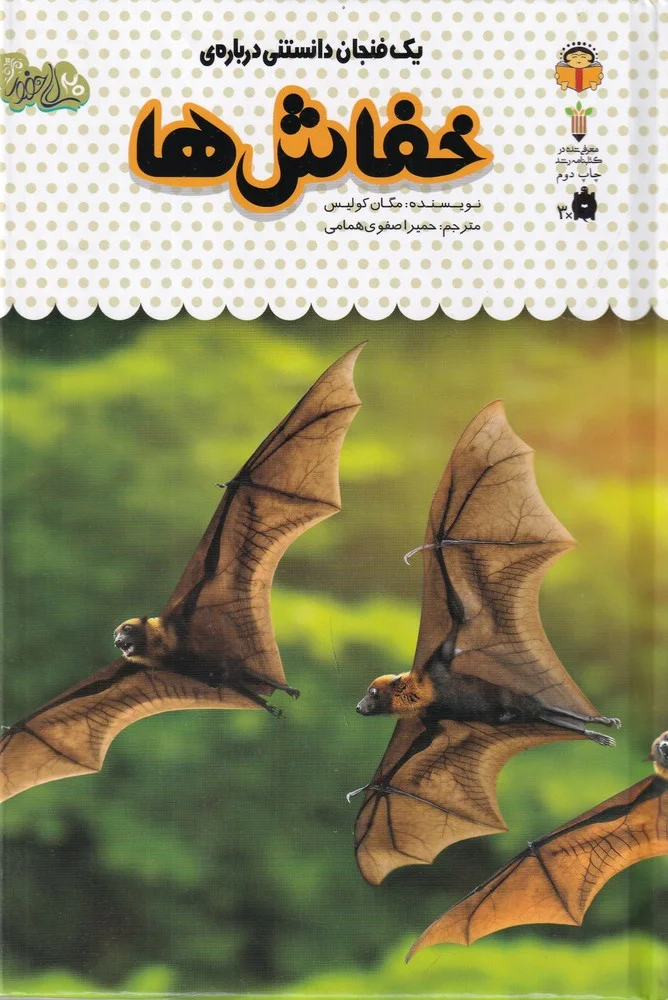جلد کتاب یک فنجان دانستنی درباره ی 7: خفاش