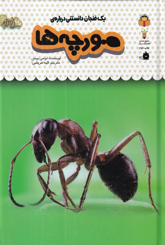 جلد کتاب یک فنجان دانستنی درباره ی: مورچه ها